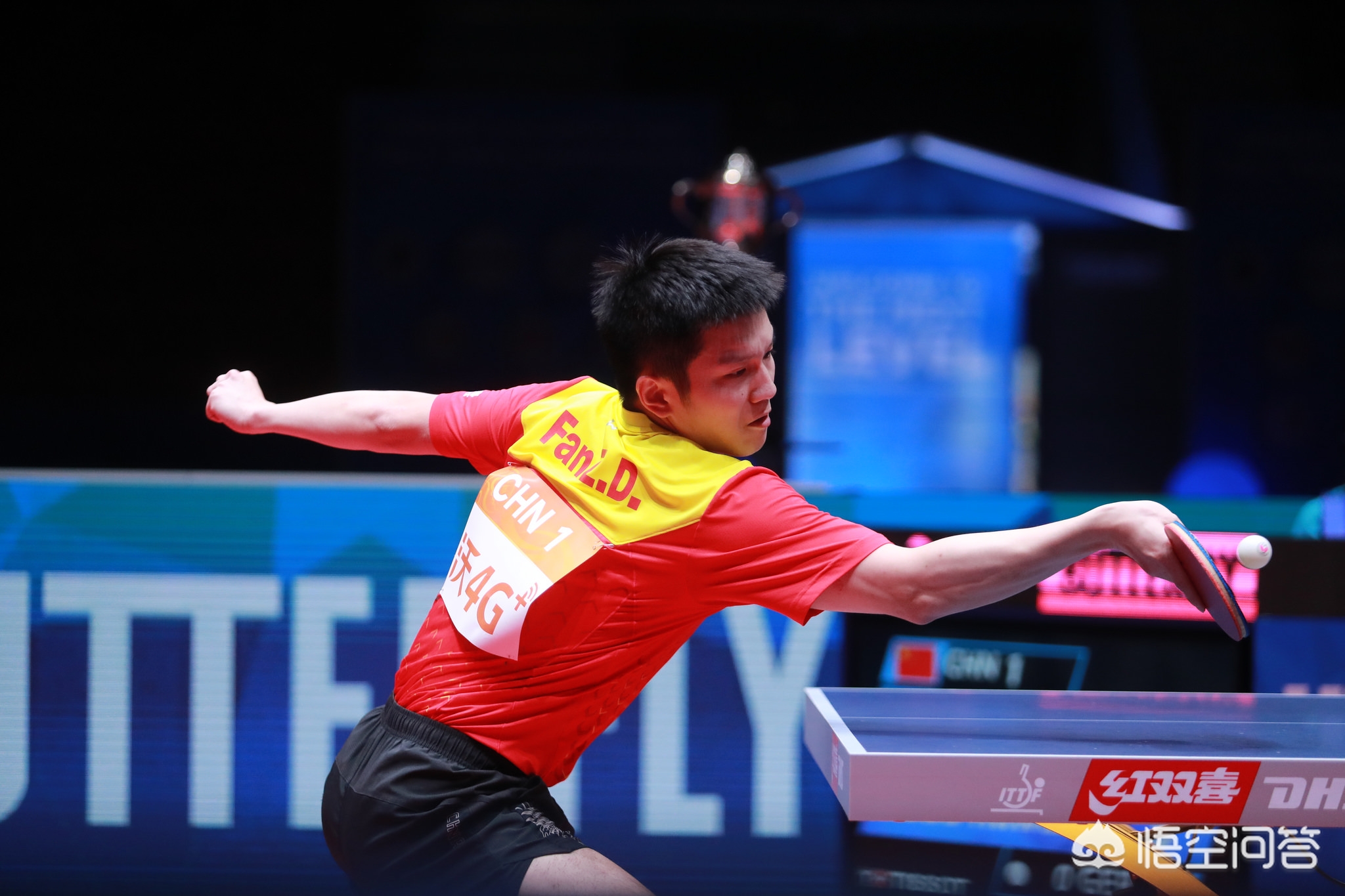 感谢领导的 感谢领导的