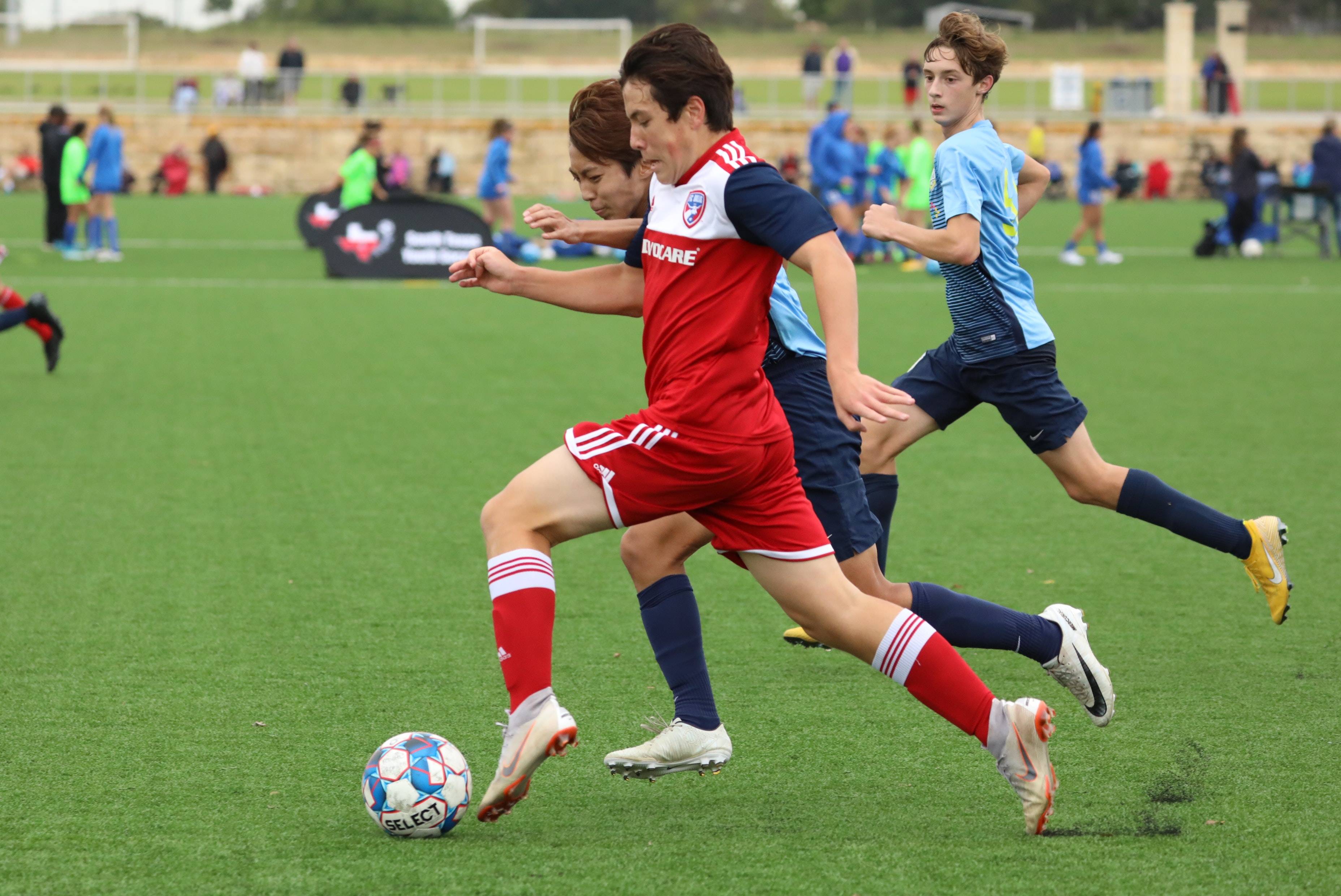 争取更高的 争取更高的